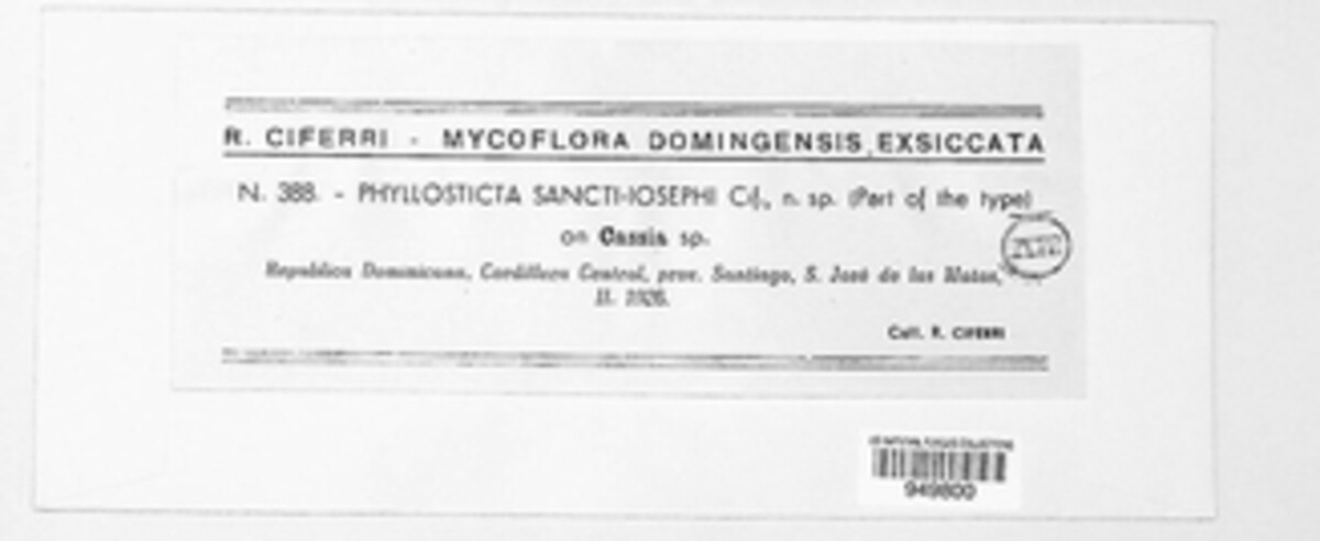 Phyllosticta sancti-iosephi image